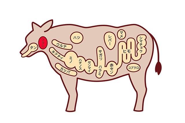 牛肉の部位図